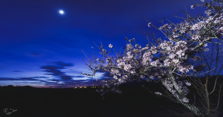 En la foto, una pintura de un paisaje nocturno donde se ve la Luna