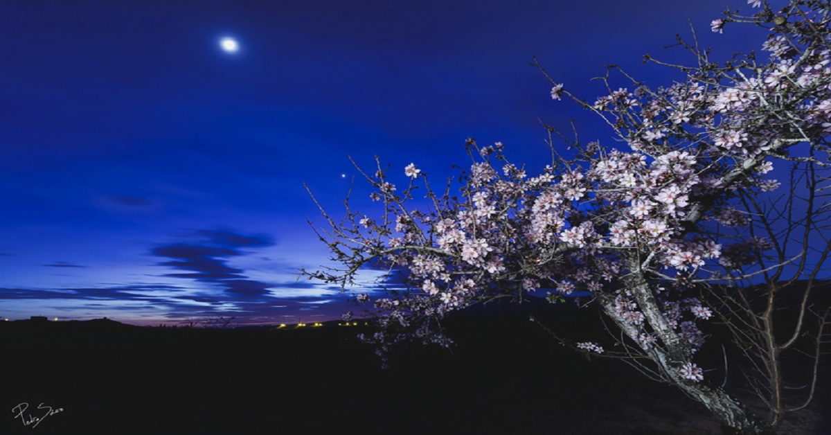 En la foto, una pintura de un paisaje nocturno donde se ve la Luna