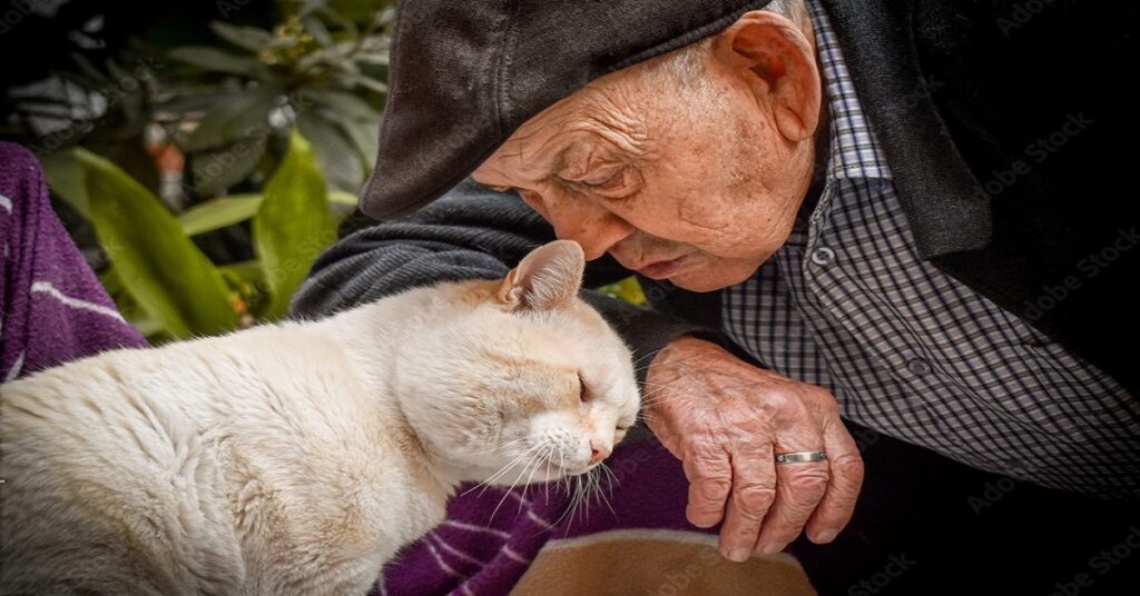 En la foto, un anciano y un gato