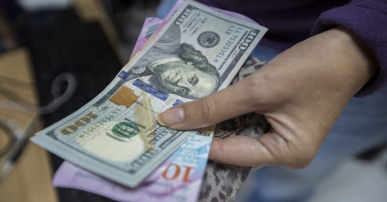 En la foto, una persona sostiene dólares en la mano
