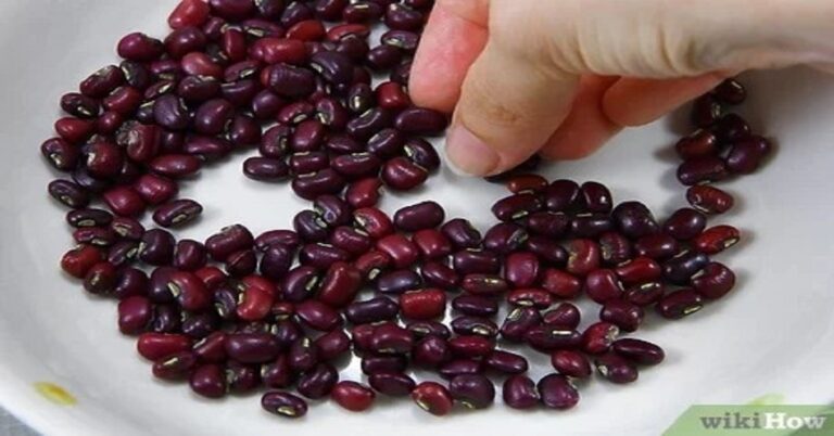 En la foto, una manos sobre unos frijoles