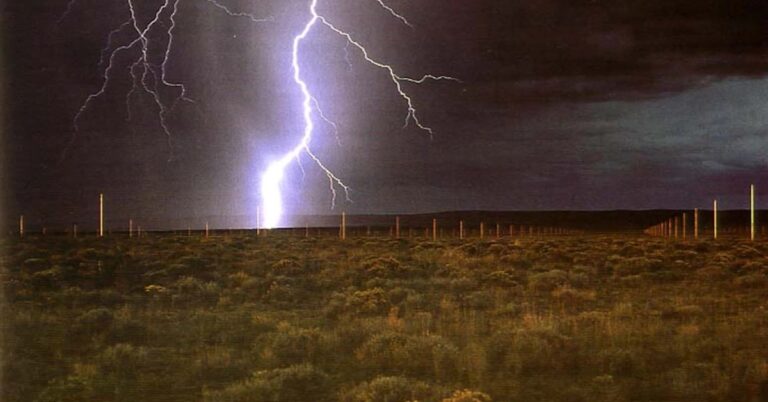 En la foto, un trueno cae sobre el campo