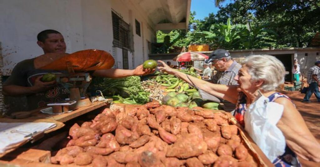 Precios topados, hambre destapada