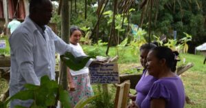 En la foto, médicos cubanos en el exterior