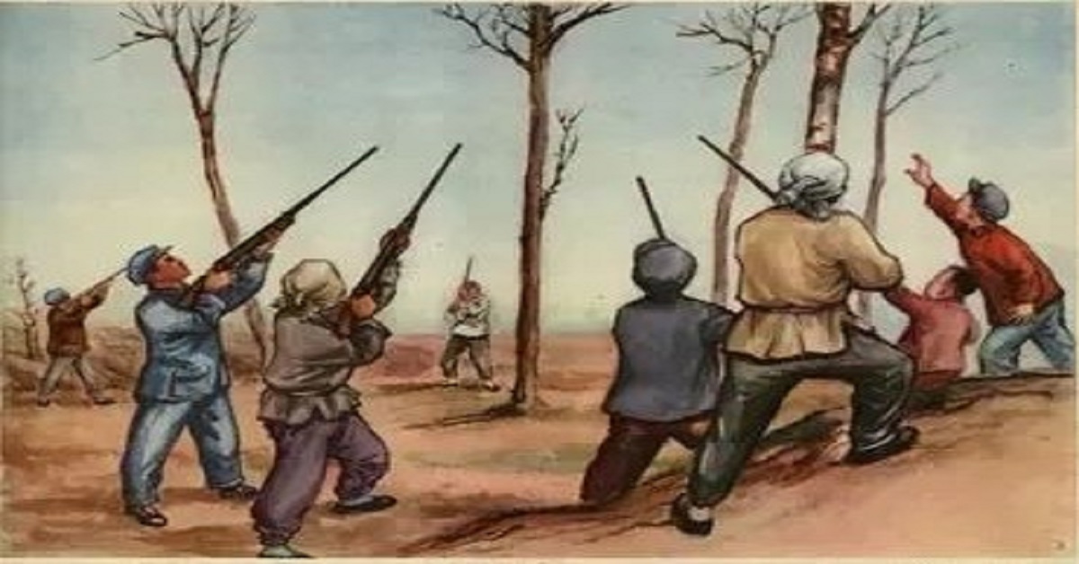 En la foto, un dibujo de un grupo de chinos cazando gorriones