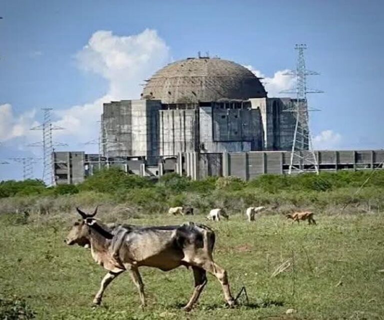 En la foto, una imagen de la central Nuclear de Juraguá