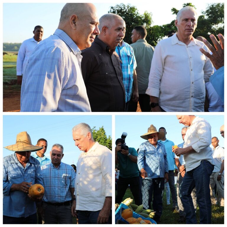 En la foto, mosaico con imágenes de lo que hace el presidente cubano