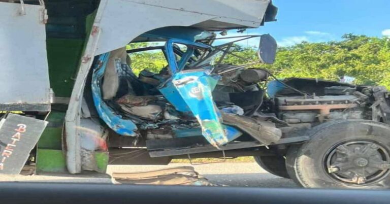 En la foto, el camión accidentado