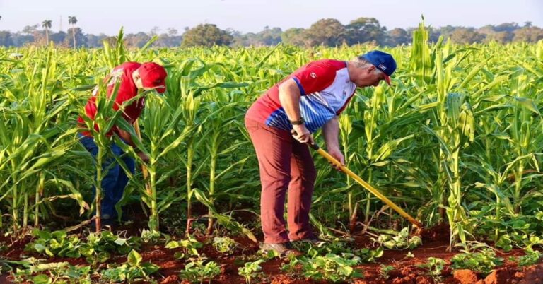 En la foto, el presidente cubano va al campo para la foto