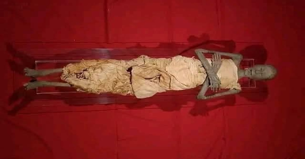 En la foto, la momia de Usermontu