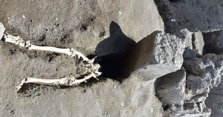 En la foto, una imagen alusiva al texto