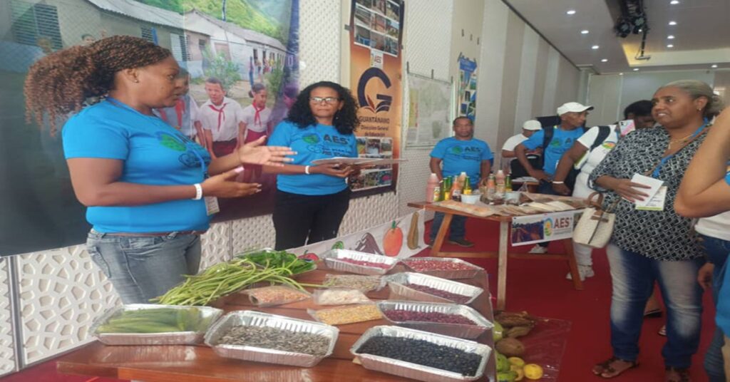 Una burla en bandeja escolar 7 Una burla en bandeja escolar