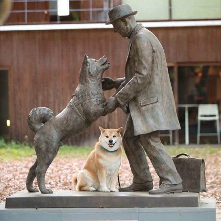 En la foto, Hachiko se erige en la estación de Shibuya