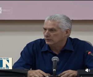 En al foto, Miguel Díaz-Canel