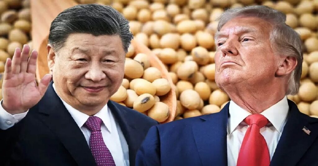 En la foto, una imagen relativa a la guerra comercial por la soja entre China y EEUU