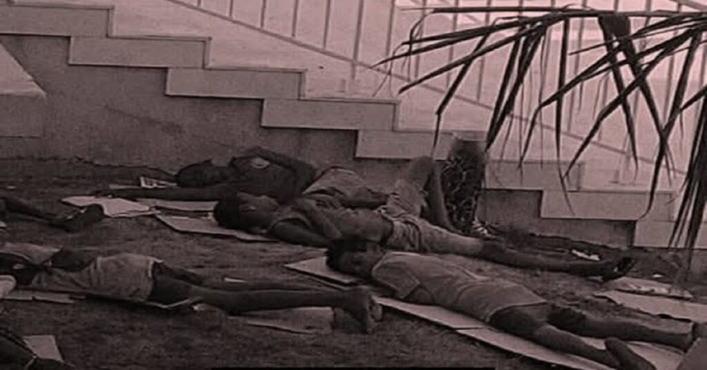 En la foto, los niños que duermen en el jardín del hotel