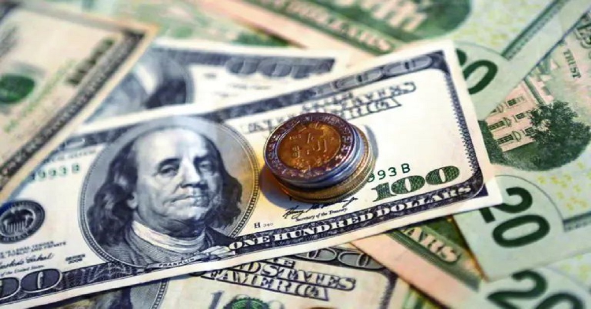 En la foto, dólares