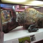 En la foto, Blue Babe