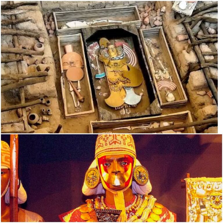 En la foto, todo lo encontrado en la tumba