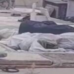 En la foto, cadáveres abandonados en un cementerio