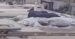 En la foto, cadáveres abandonados en un cementerio