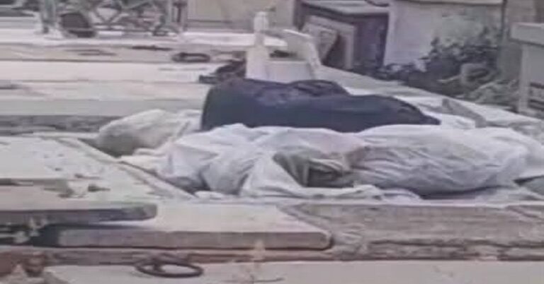 En la foto, cadáveres abandonados en un cementerio