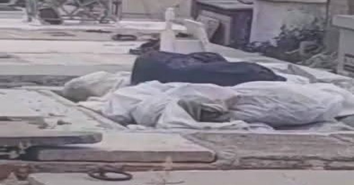 En la foto, cadáveres abandonados en un cementerio