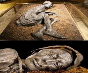 En la foto, una imagen relativa al Texto