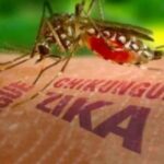 En la foto, una imagen relativa al texto