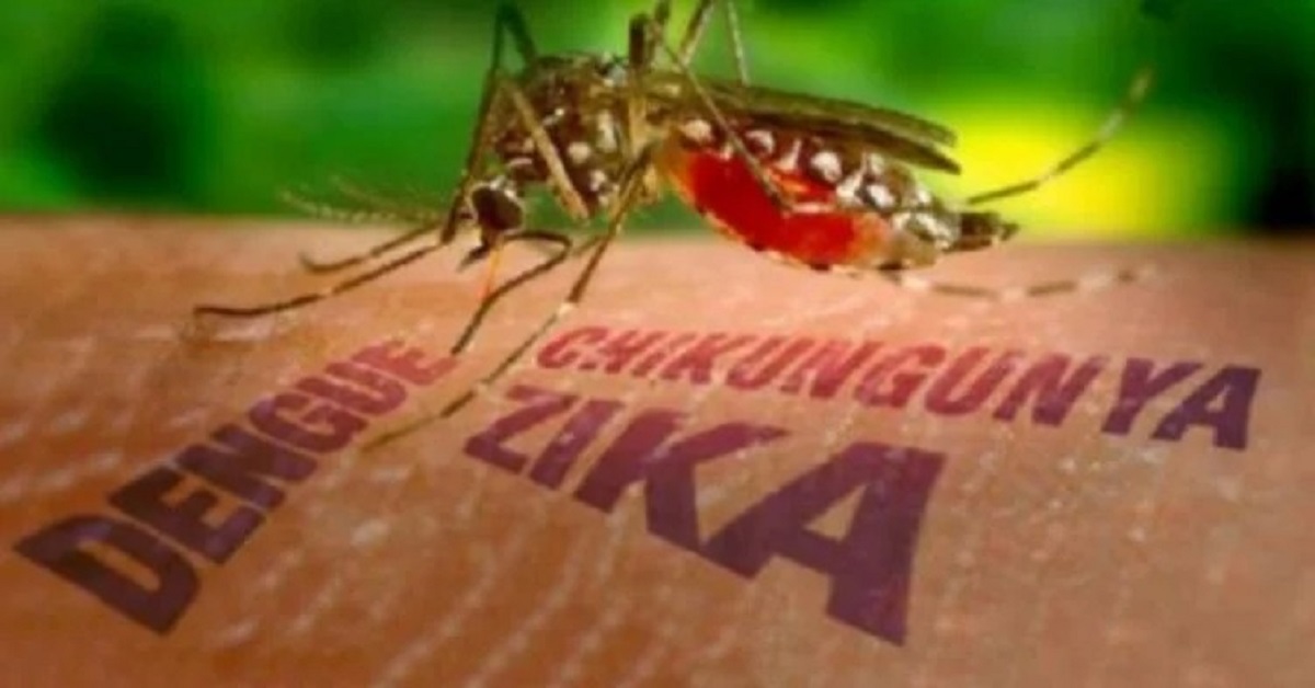 En la foto, una imagen relativa al texto