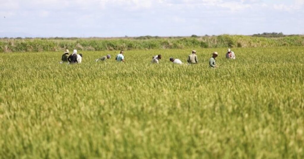 La desconexión entre los anuncios oficiales y la realidad del país