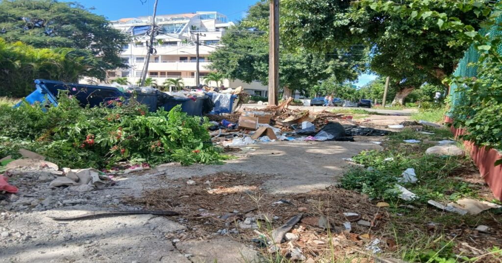 Basura, epidemias y cinismo: la otra postal de Miramar