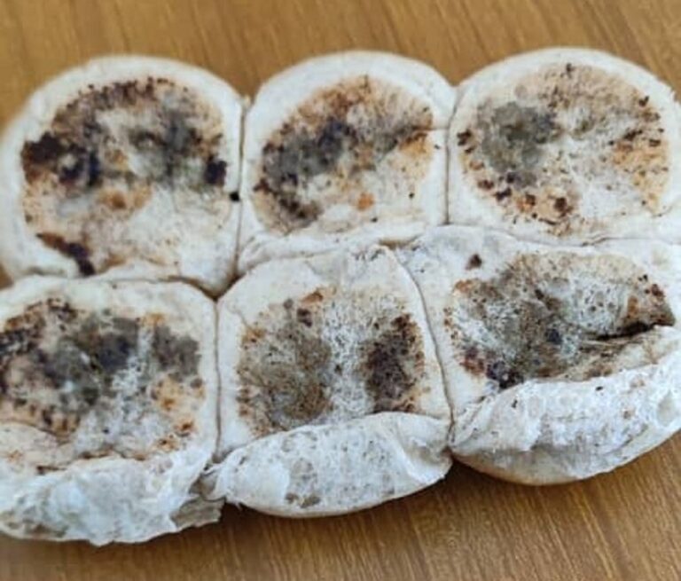 En la foto, el pan de Cuba