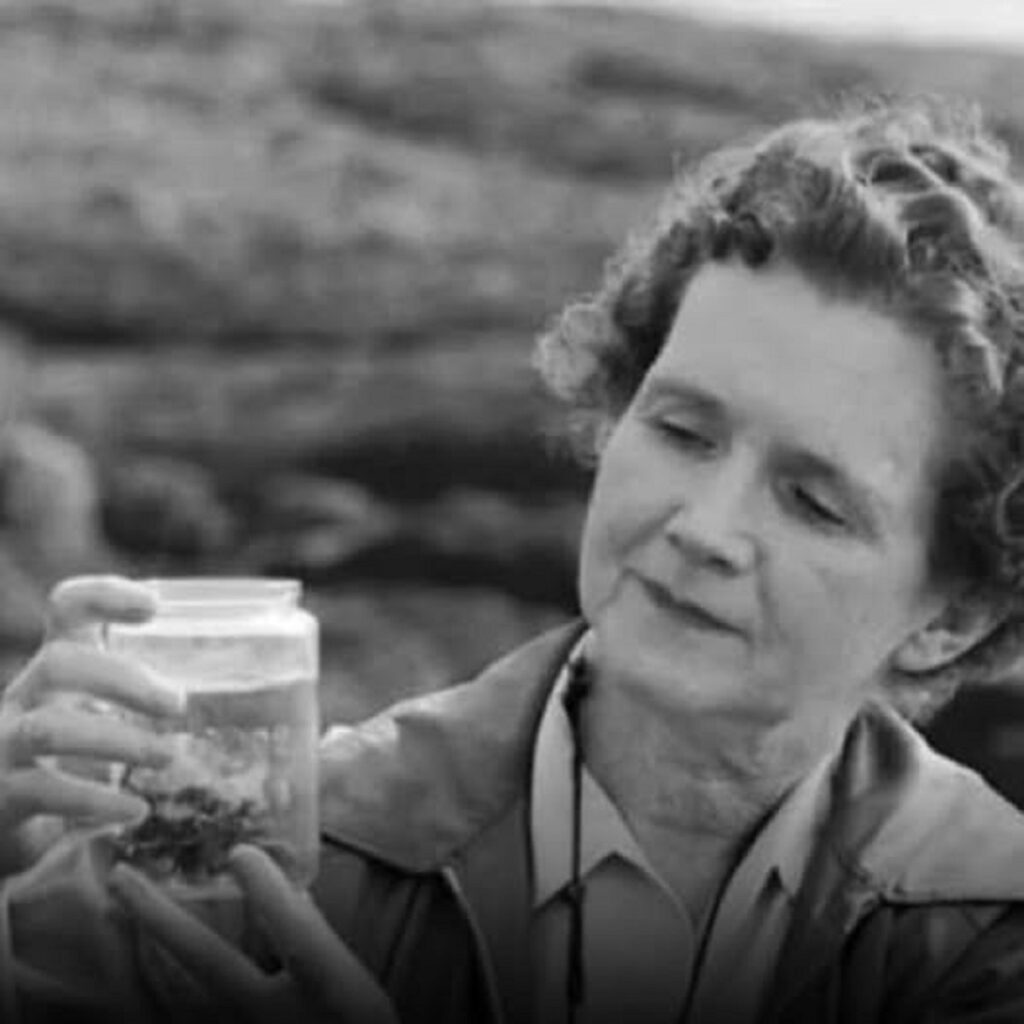 Rachel Carson y el libro que salvó las primaveras 7 En la foto, Rachel Carson.