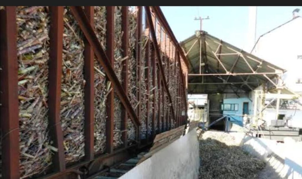 La verdadera historia de los gallegos en el central azucarero 3 En la foto, un carro de caña entrando a un central azucarero