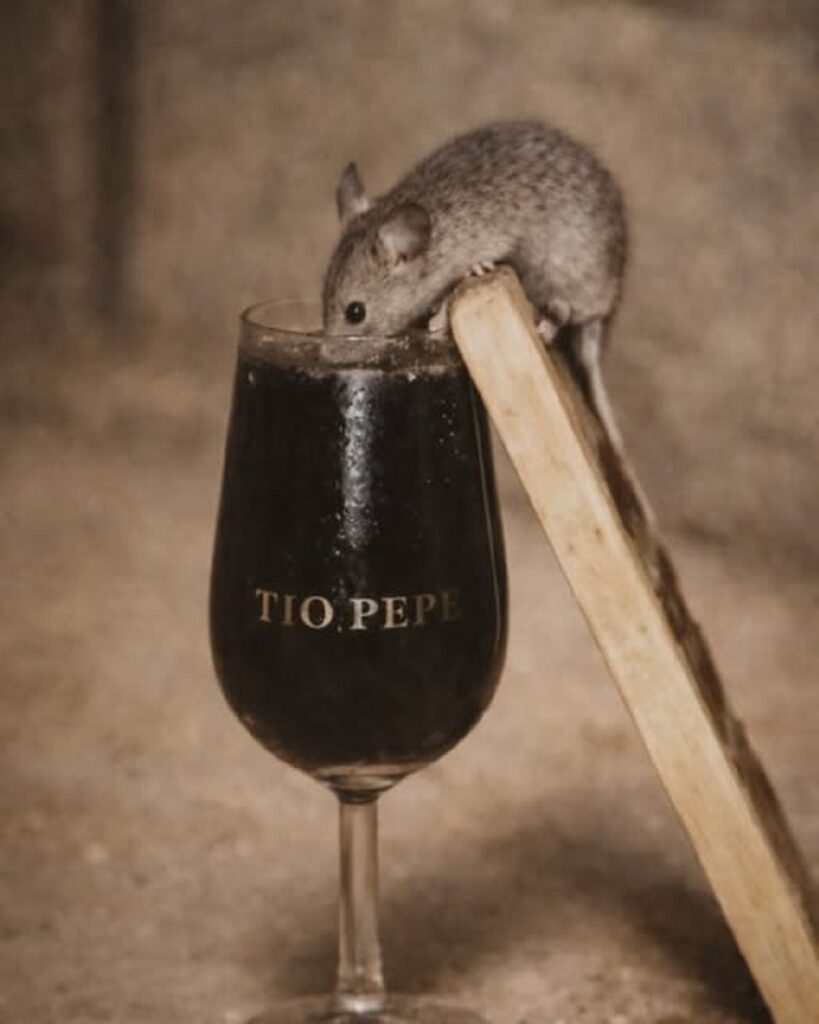 En la foto, un ratón, una copa y una escalera