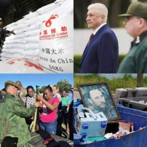 En la foto, un collage relacionado con el texto