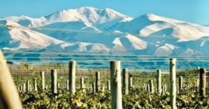 En la foto, paisaje de Mendoza