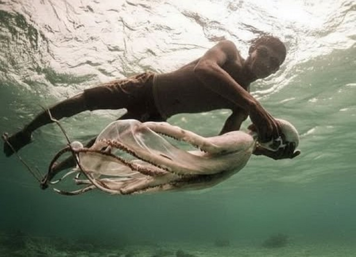 En la foto, un bajau atrapa un pulpo en las profundidades