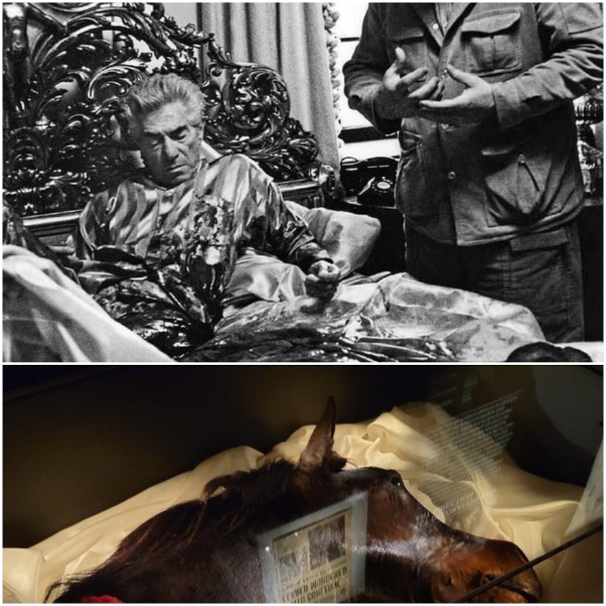 En la foto, montaje con la escena del caballo y la cabeza de este en un museo