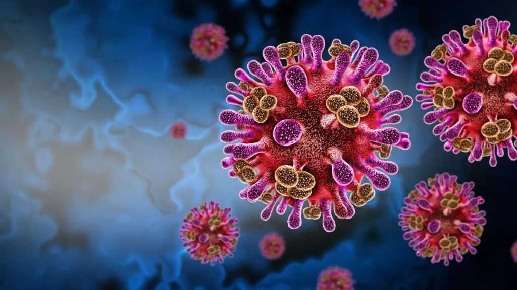 India dice que controló el brote del virus Nipah mientras países asiáticos refuerzan sus controles 7 En la foto, el virus Nipah