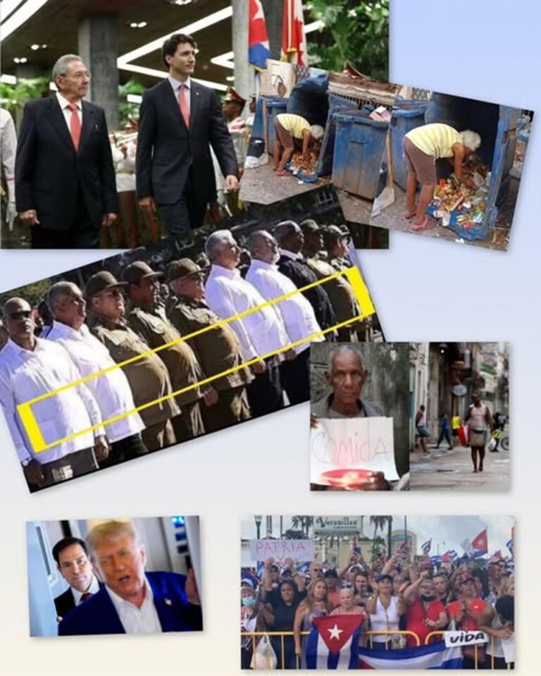 En la foto, una imagen relativa al tema