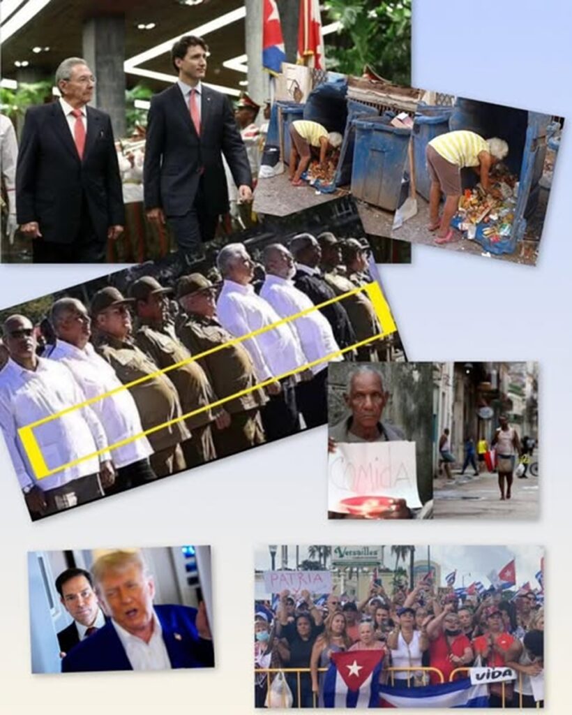 En la foto, una imagen relativa al tema