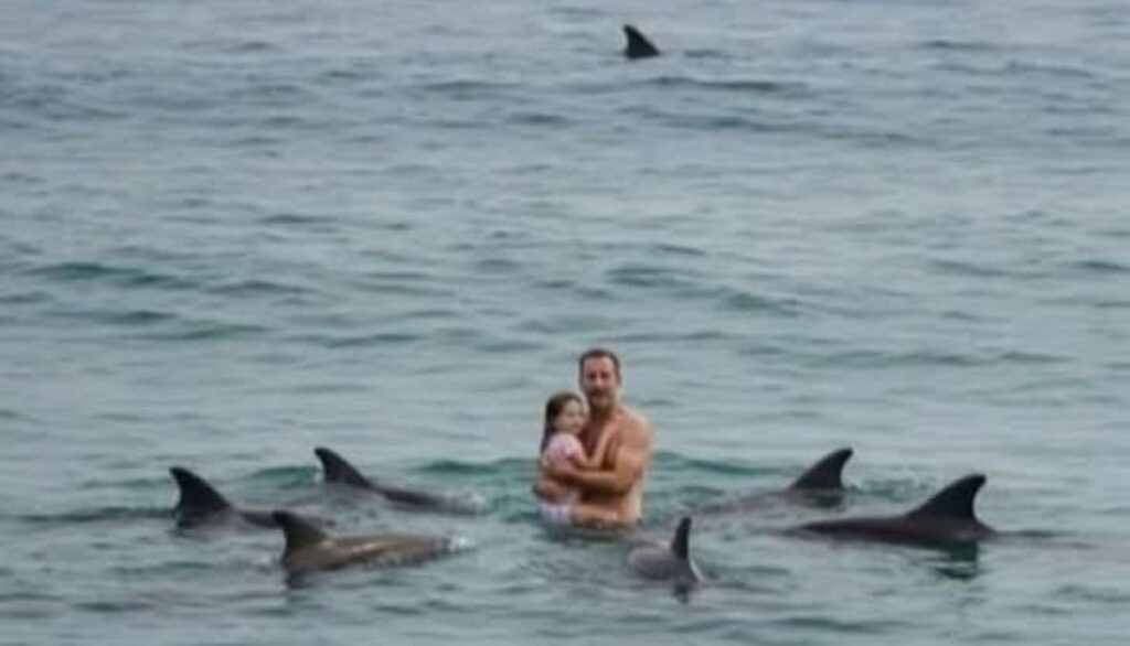 La manada que protegió a dos bañistas 4 En la foto, el salvavidas Rob Howes y su hija