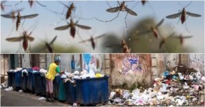 En la foto, lo que se avecina en verano para Cuba