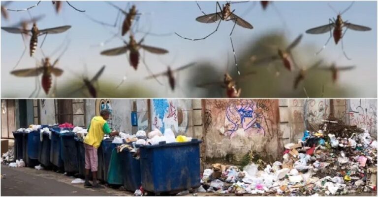 En la foto, lo que se avecina en verano para Cuba