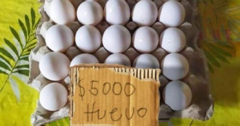 En la foto, un cartón de huevos y su precio en Cuba