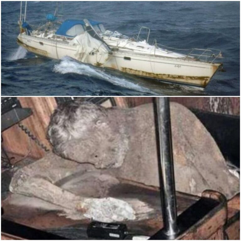 En la foto, imágenes relativas al texto