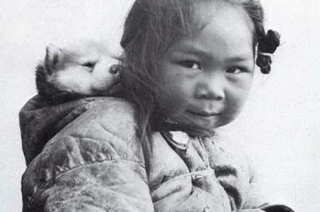 En la foto, una niña inuit carga en la espalda un cachorro