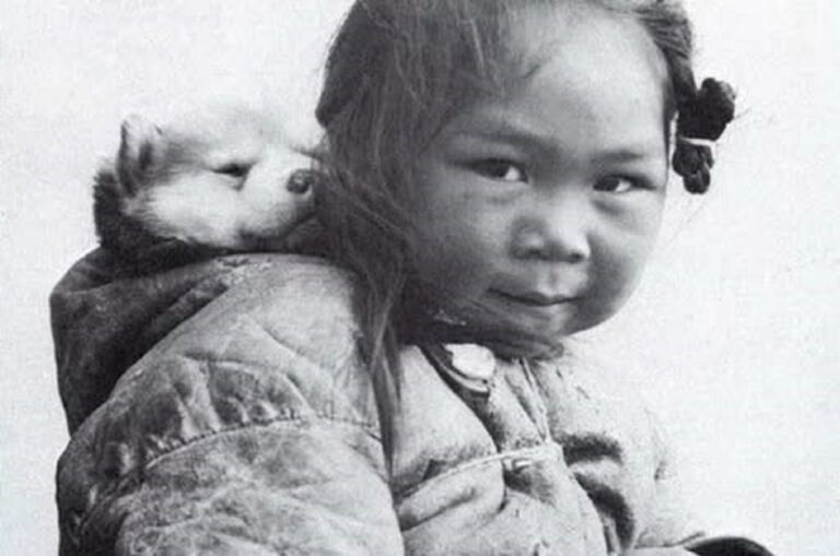 En la foto, una niña inuit carga en la espalda un cachorro